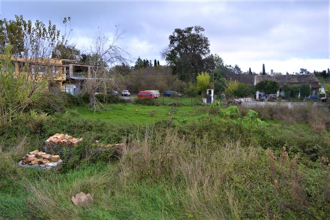 Land in Corfu, Greece, 4 200 m² - picture 6