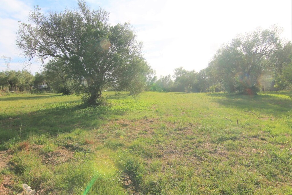 Terrain à Corfou, Grèce, 4 188 m² - image 6