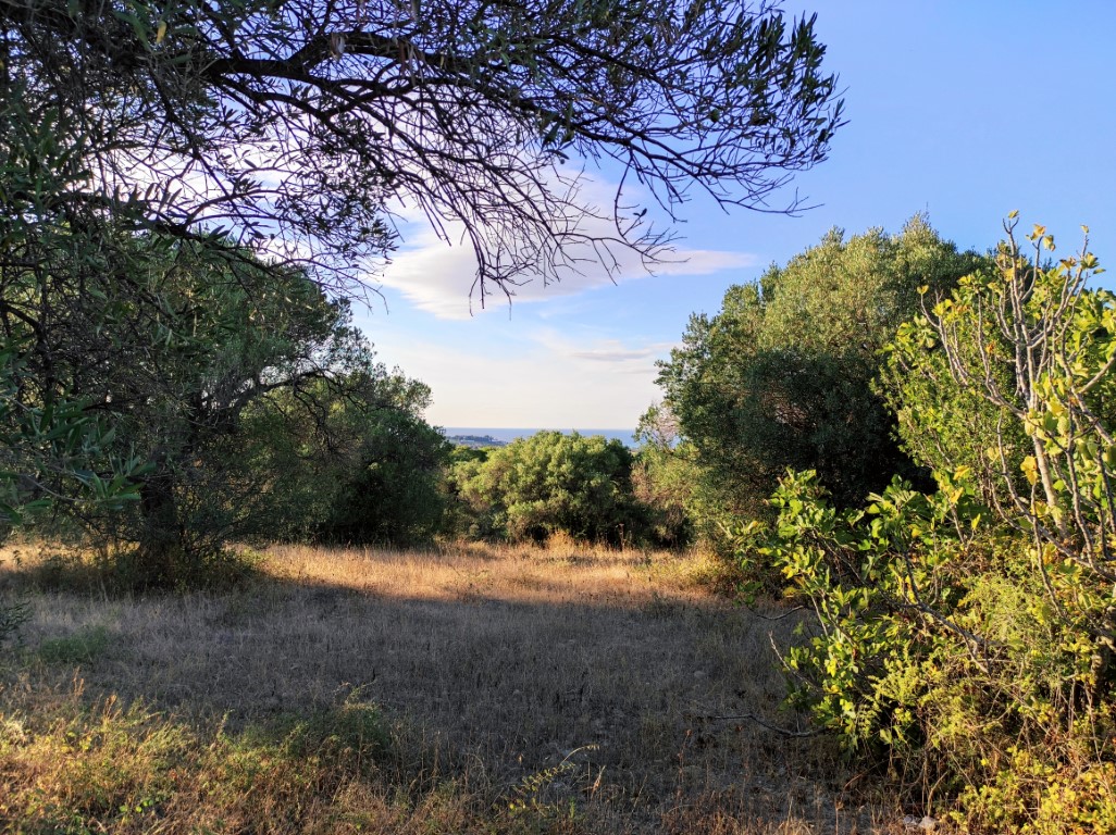 Land in Kassandra, Greece, 5 500 m² - picture 6