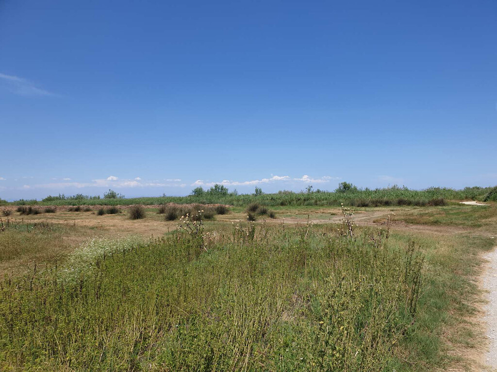 Grundstück in Olympiaki Akti, Griechenland, 12 955 m² - Foto 6