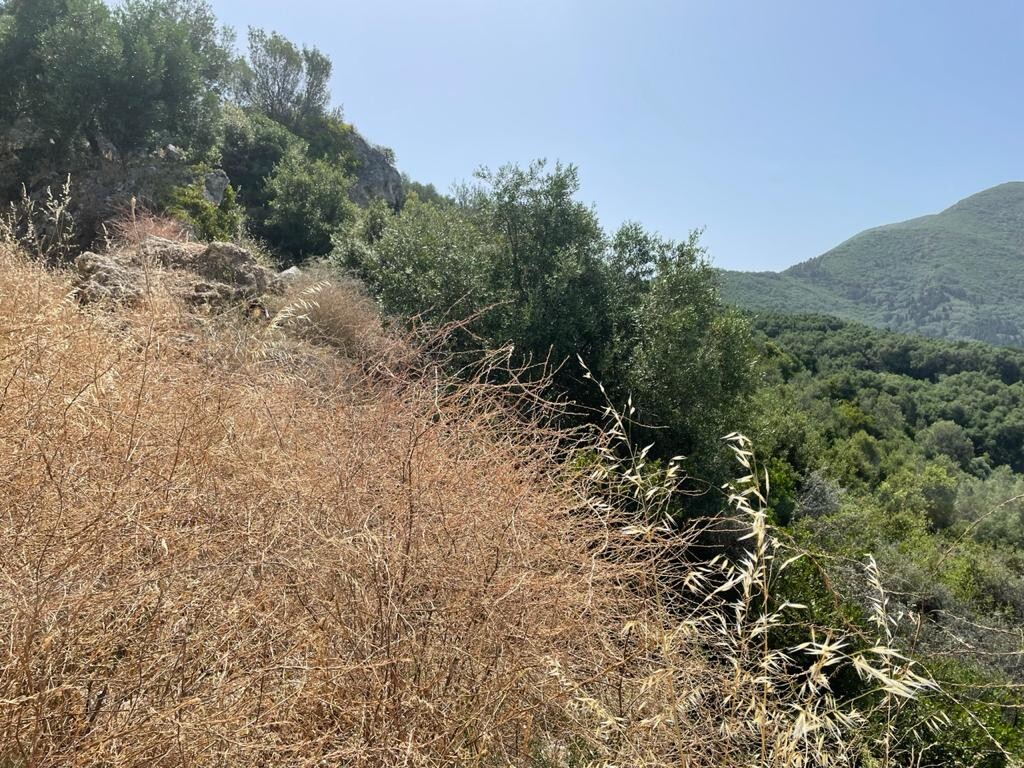 Terrain à Corfou, Grèce, 4 800 m² - image 6