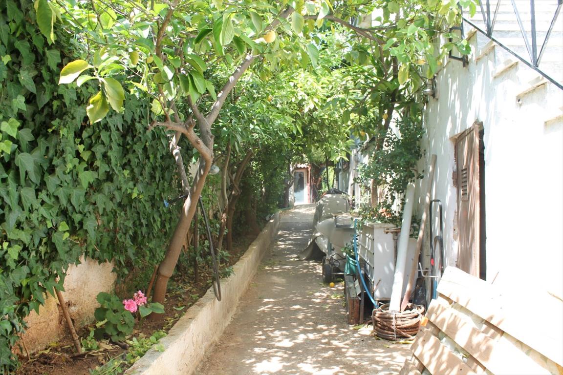 Haus in Athen, Griechenland, 60 m² - Foto 6