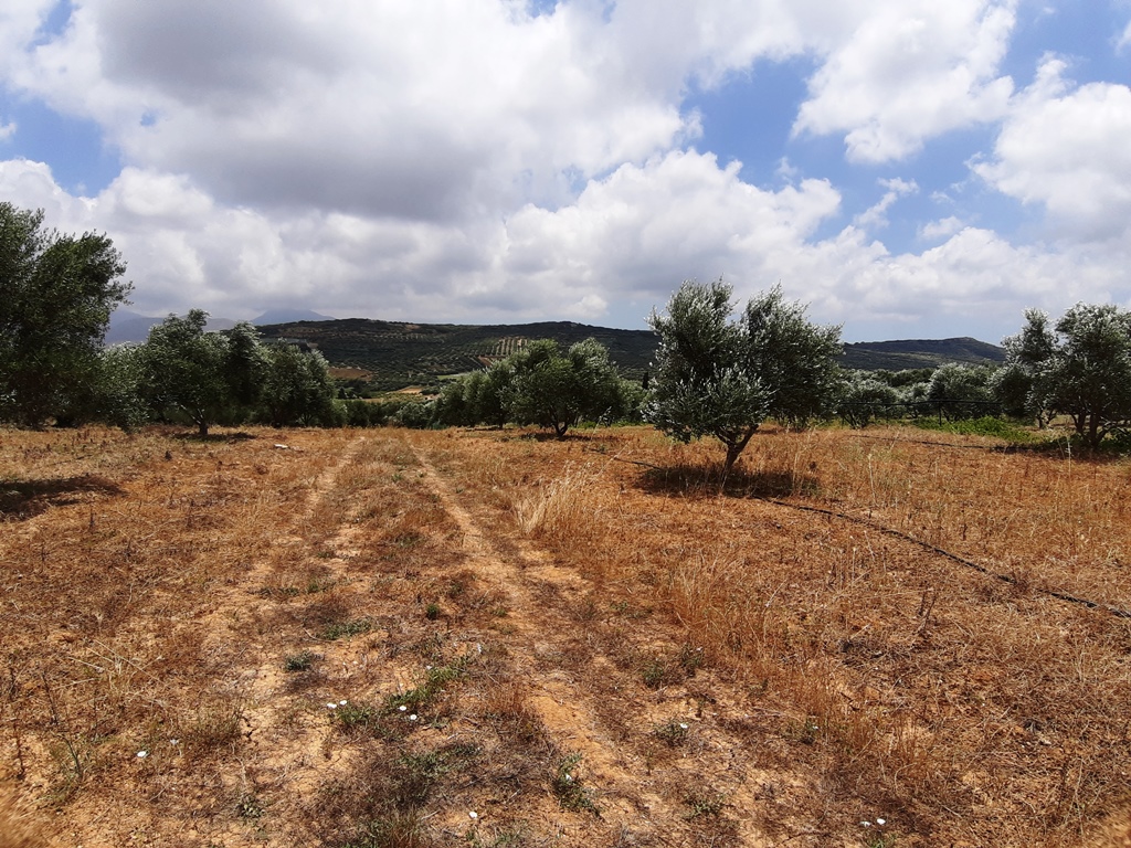 Terreno en Heraclión, Grecia, 15 000 m² - imagen 6
