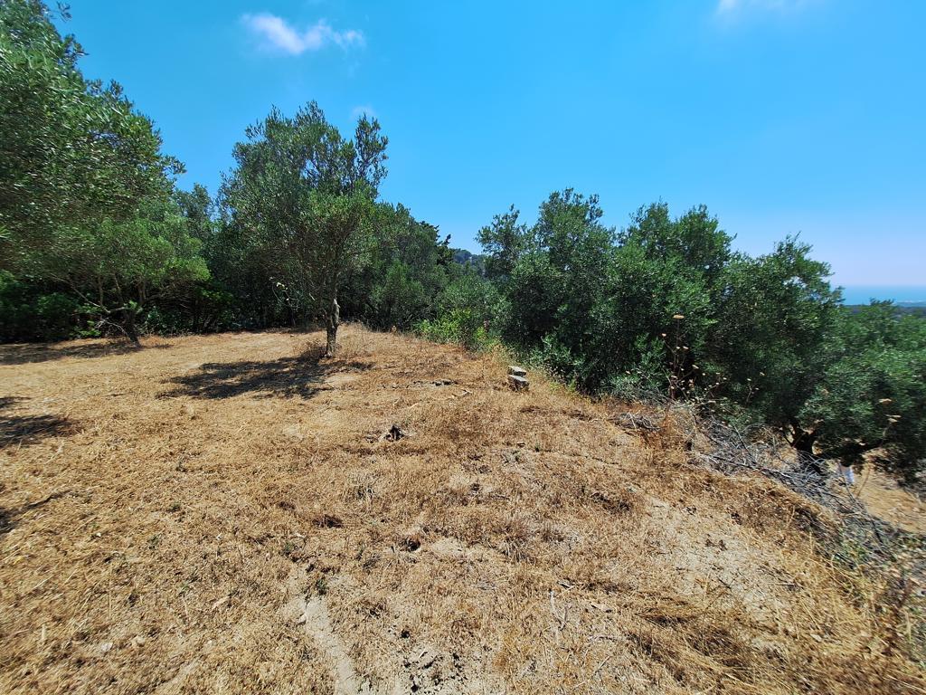 Terreno a Corfù, Grecia, 3 310 m2 - foto 6