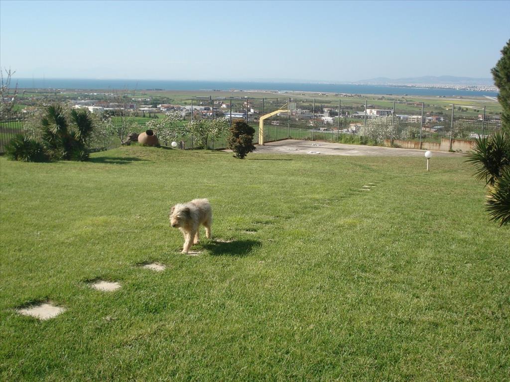 Maisonnette à Thessalonique, Grèce, 146 m² - image 6