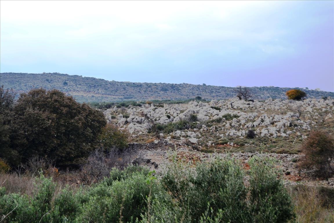 Land in Heraklion, Greece, 8 500 m² - picture 6