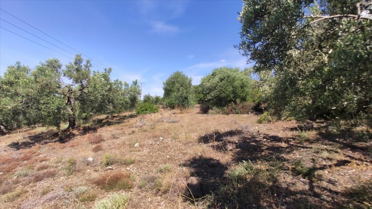 Land in Sithonia, Greece, 13 750 m² - picture 6