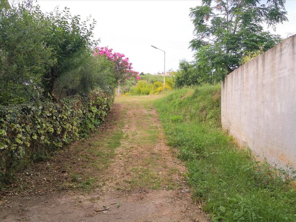 House in Sithonia, Greece, 400 m² - picture 6