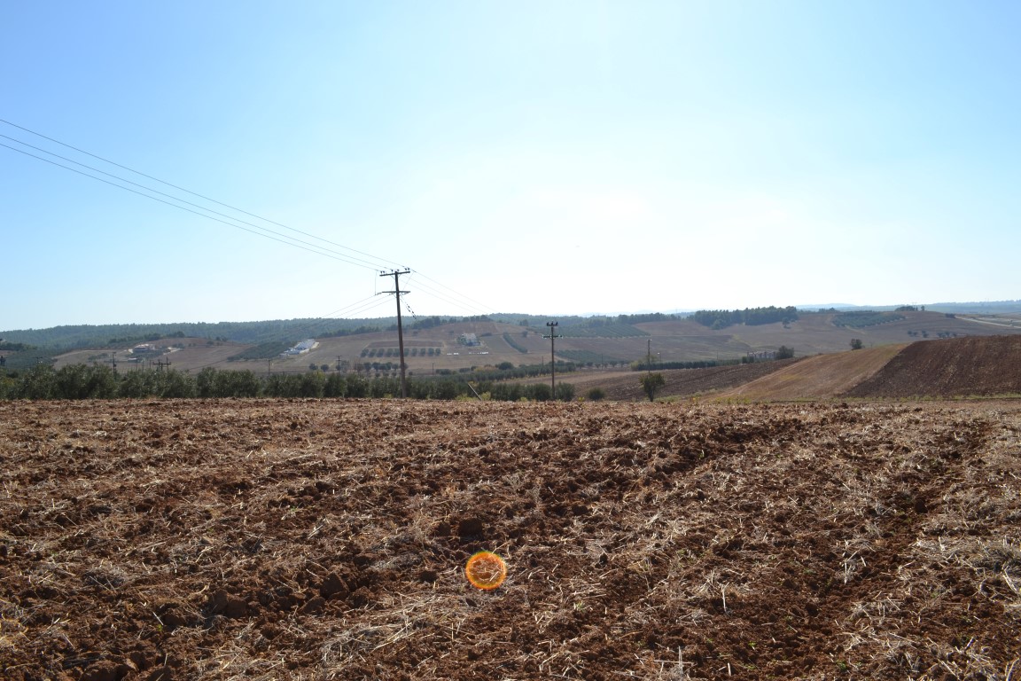 Land in Kassandra, Greece, 20 000 m² - picture 6