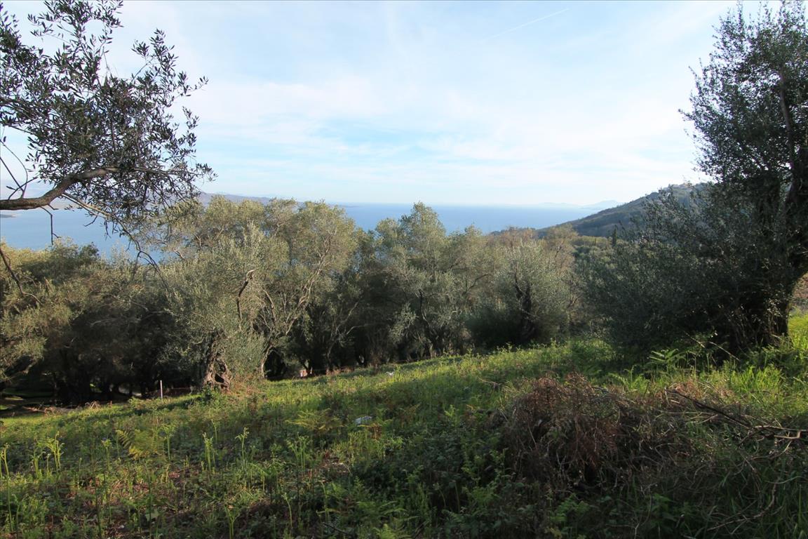 Terreno en Corfú, Grecia, 2 400 m² - imagen 6