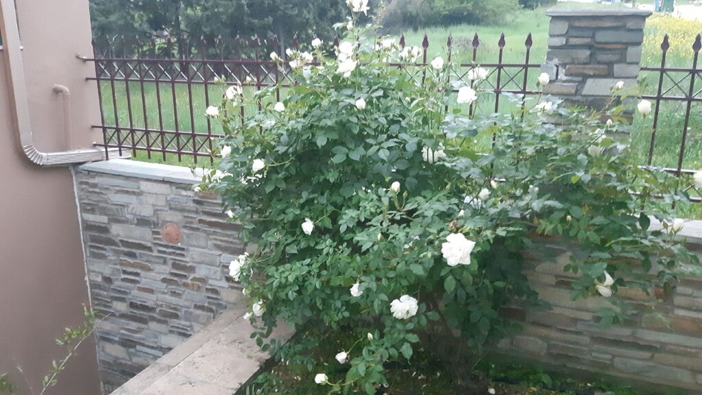 Casa en Salónica, Grecia, 230 m² - imagen 7