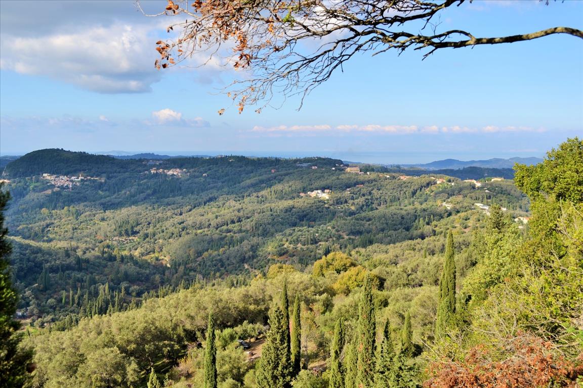 Terrain à Corfou, Grèce, 15 000 m² - image 7