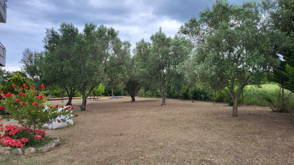 House in Kassandra, Greece, 200 m² - picture 7