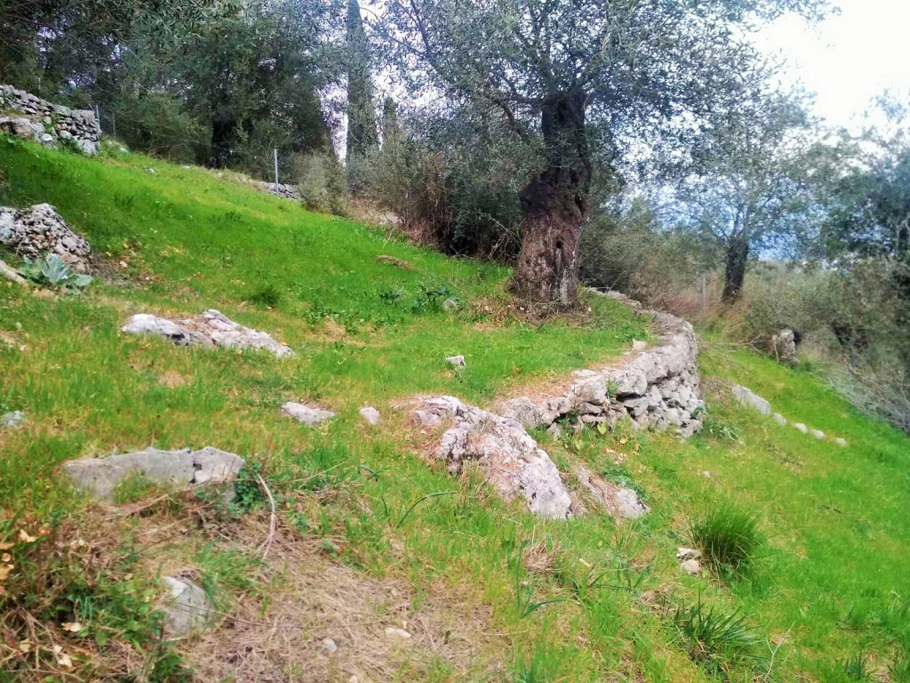 Land in Corfu, Greece, 4 363 m² - picture 7