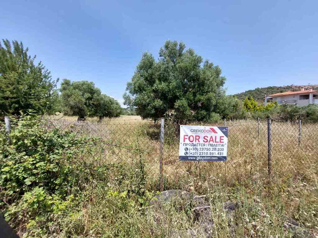 Land in Sithonia, Greece, 4 350 m² - picture 7