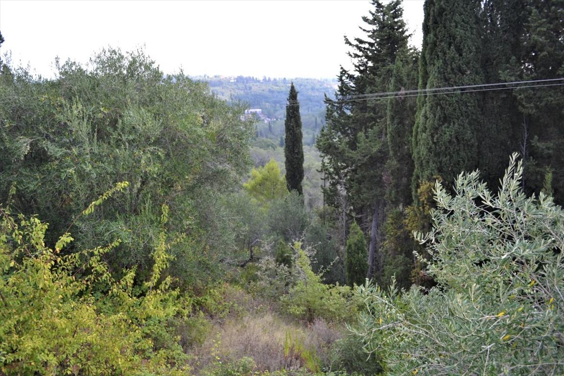 Terreno en Corfú, Grecia, 3 660 m² - imagen 7