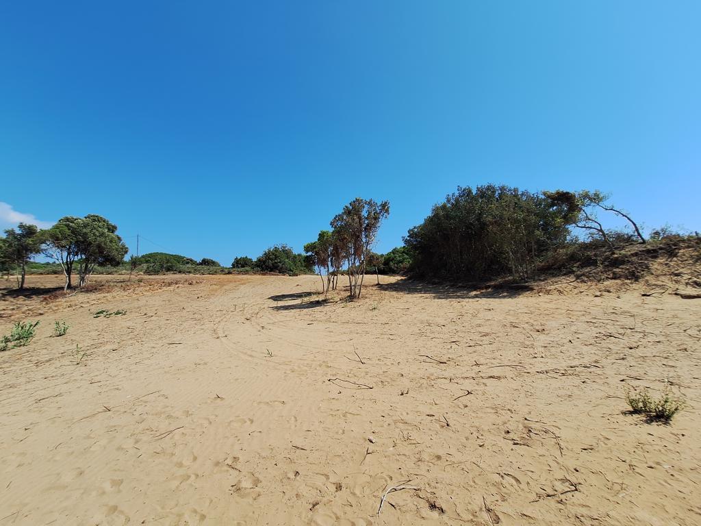 Grundstück in Korfu, Griechenland, 17 439 m² - Foto 7