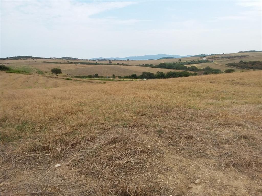 Grundstück in Chalkidiki, Griechenland, 13 000 m² - Foto 7