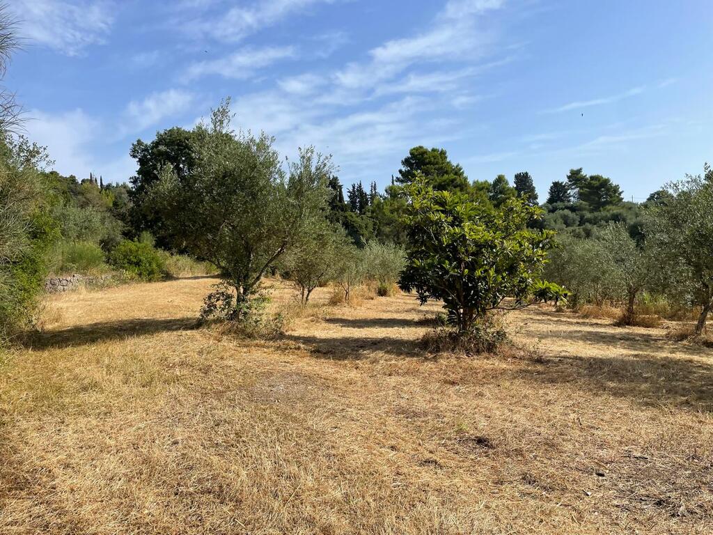 Land in Corfu, Greece, 27 750 m² - picture 7