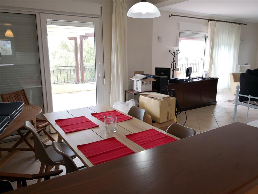 House in Sithonia, Greece, 400 m² - picture 7