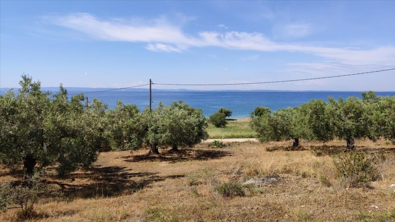 Land in Sithonia, Greece, 13 750 m² - picture 7