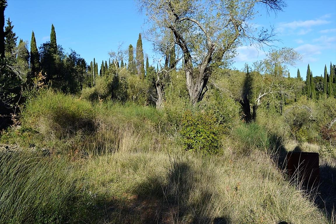 Terreno a Corfù, Grecia, 8 000 m2 - foto 7