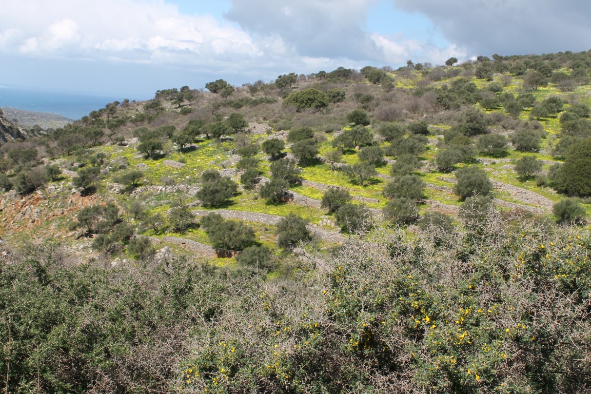 Terreno a Heraklion, Grecia, 10 800 m2 - foto 7