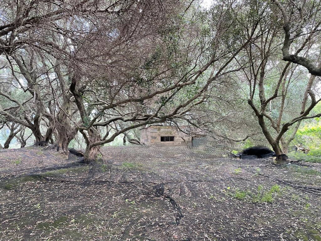 Land in Corfu, Greece, 940 m² - picture 7