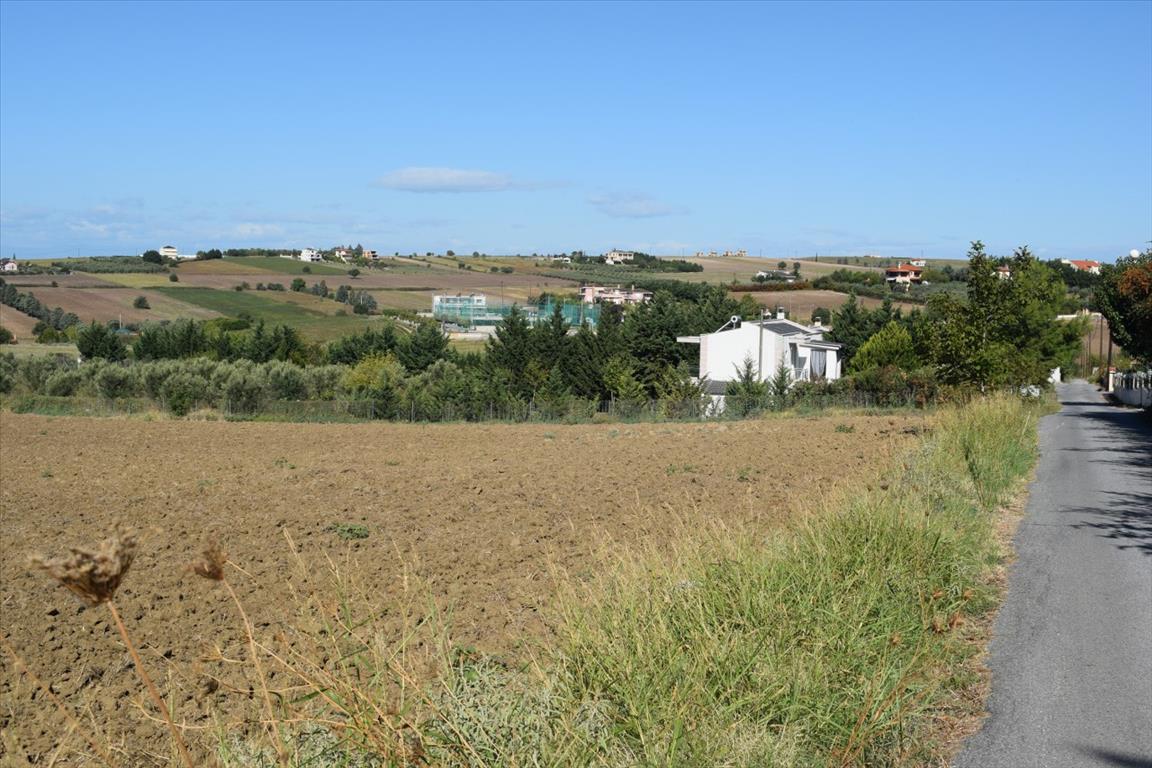 Terreno a Salonicco, Grecia, 8 000 m2 - foto 7