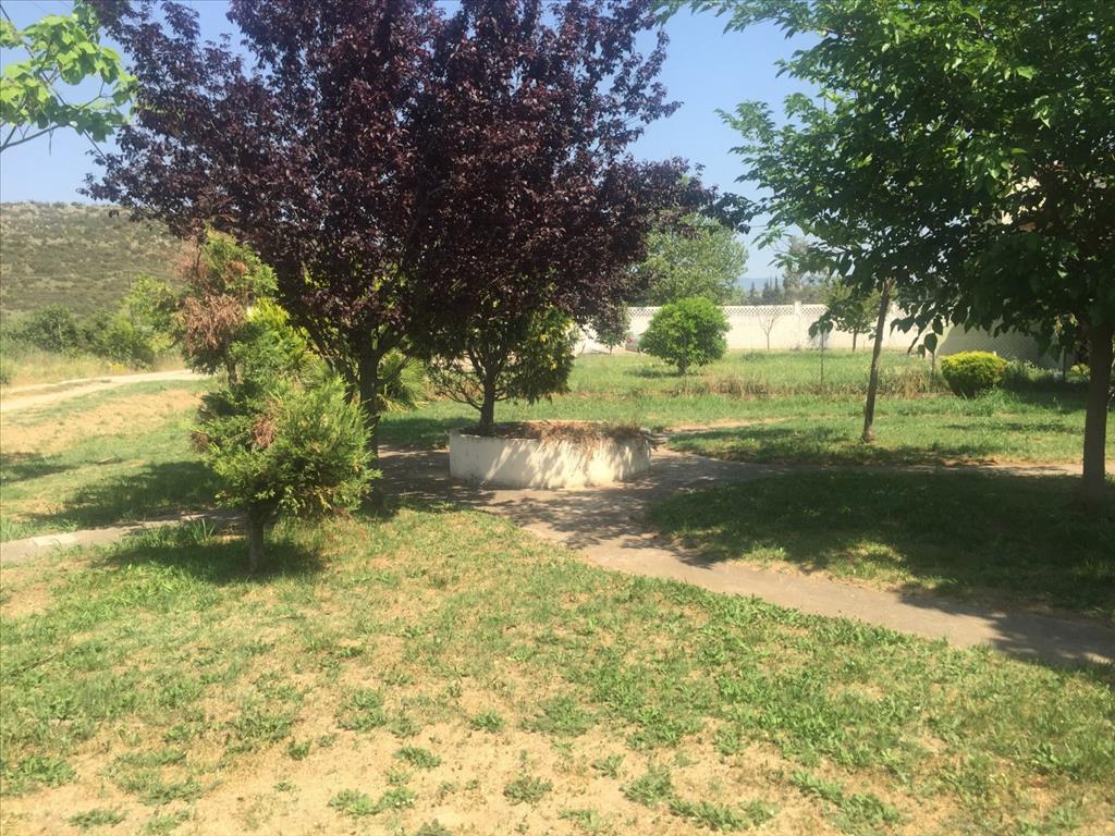 House in Chalkidiki, Greece, 180 m² - picture 7