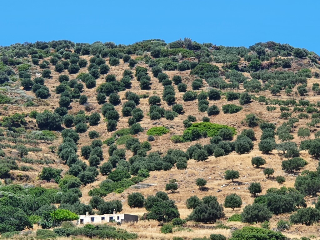 Terreno a Heraklion, Grecia, 21 000 m2 - foto 7