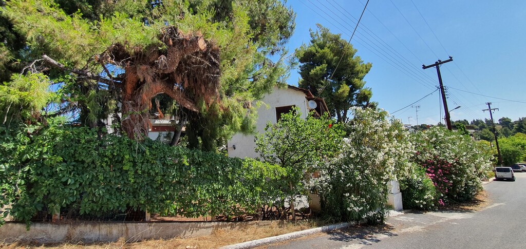 Casa en Sitonia, Grecia, 170 m² - imagen 7