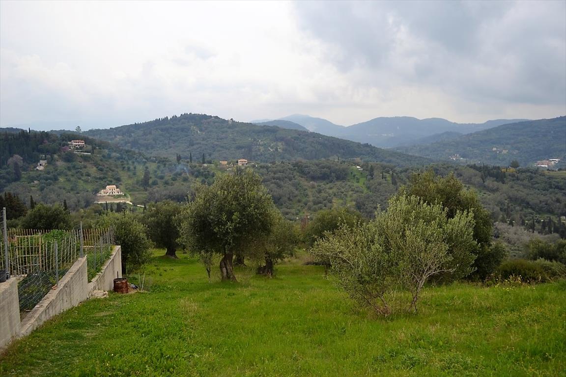 Land in Corfu, Greece, 6 000 m² - picture 7