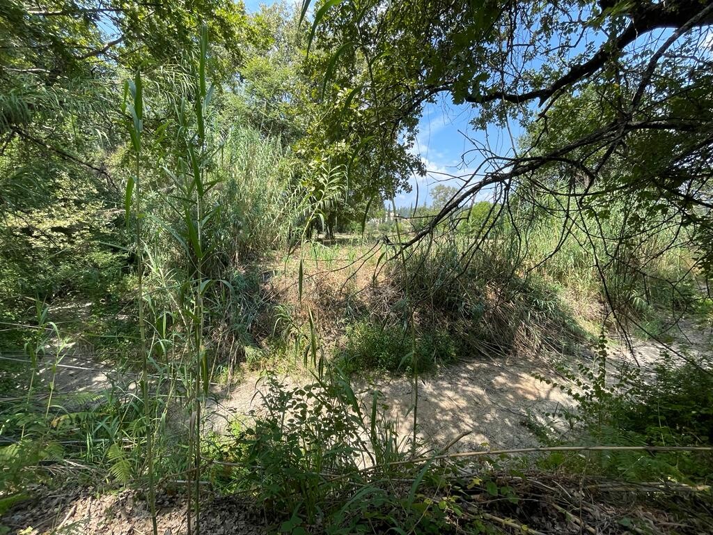 Land in Corfu, Greece, 4 850 m² - picture 7