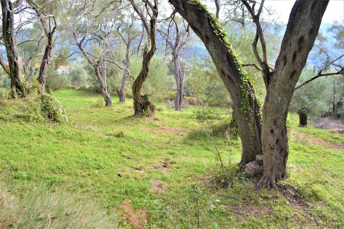 Terreno en Corfú, Grecia, 3 136 m² - imagen 7