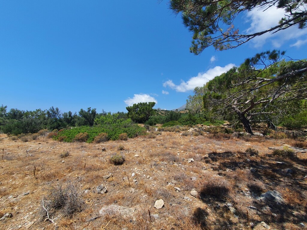 Land in Heraklion, Greece, 9 068 m² - picture 7