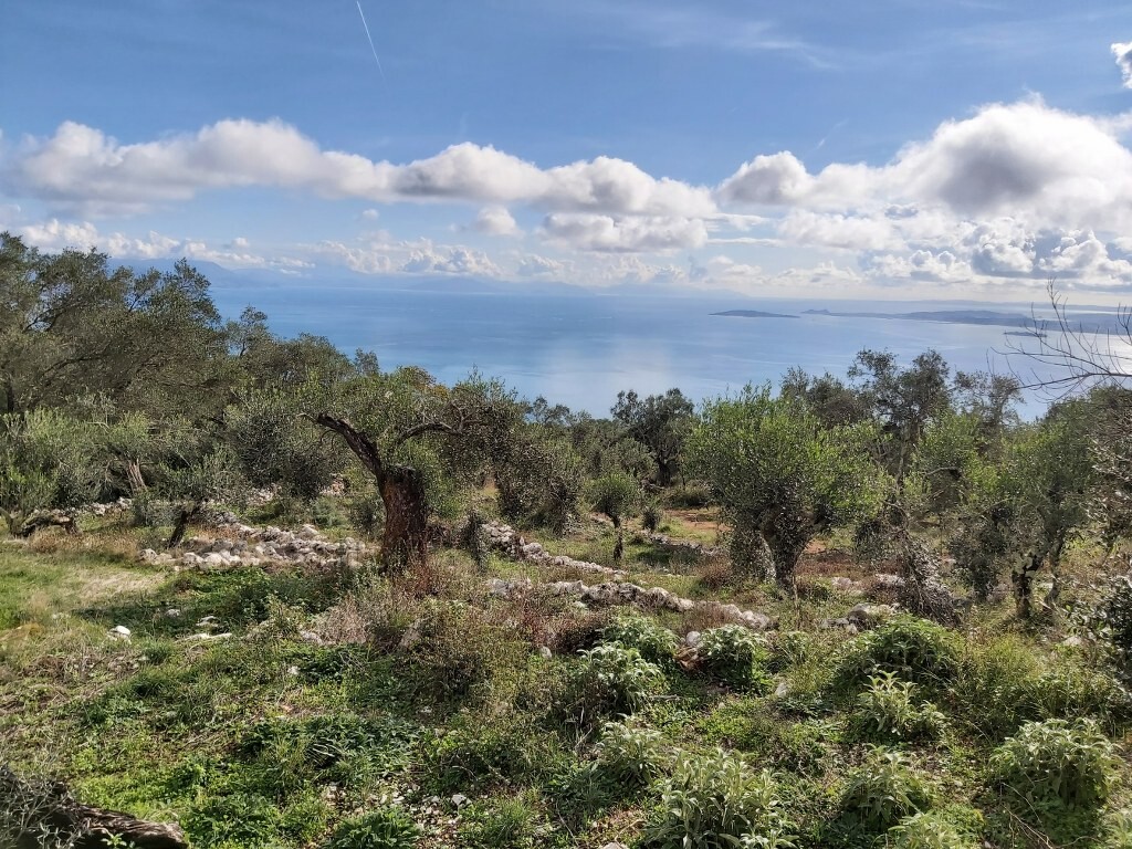 Grundstück in Korfu, Griechenland, 9 500 m² - Foto 7