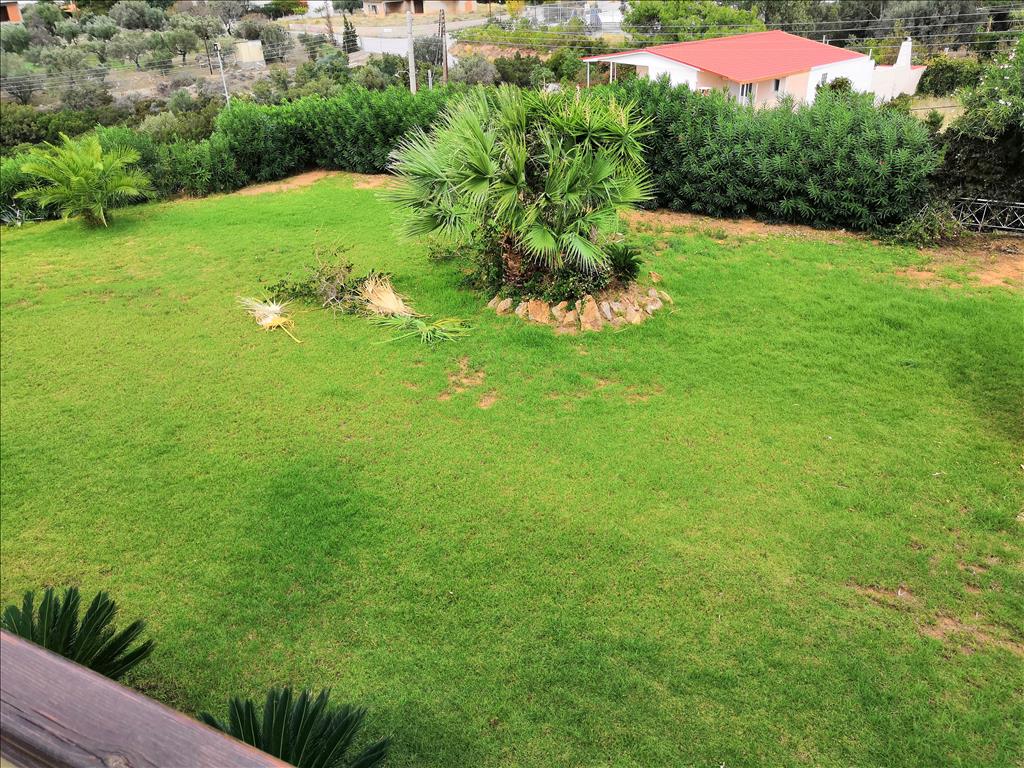 Villa in Attica, Greece, 520 m² - picture 7