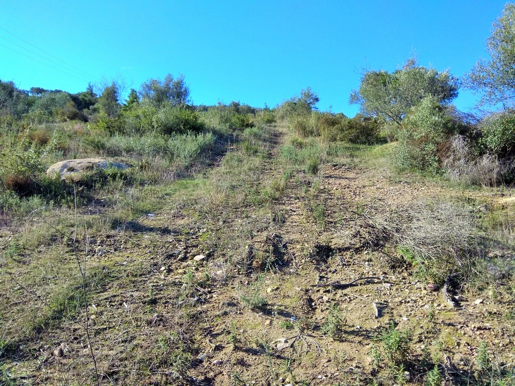 Terrain en Sithonie, Grèce, 36 000 m² - image 7