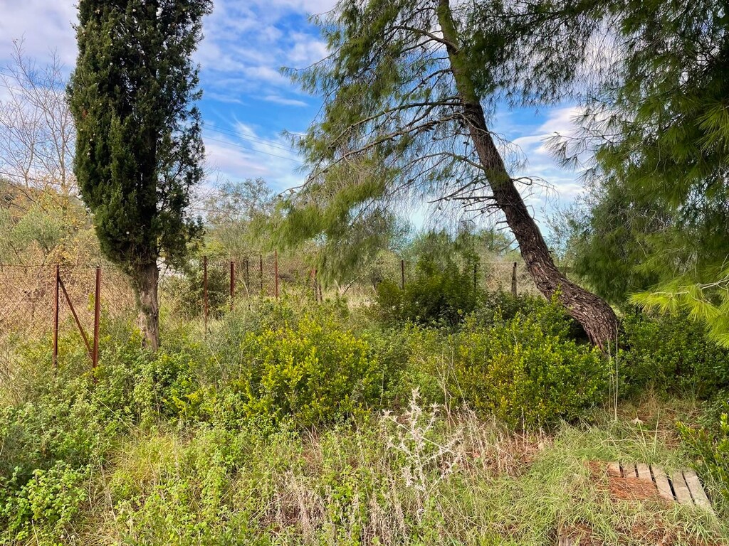 Terreno a Corfù, Grecia, 3 500 m2 - foto 7
