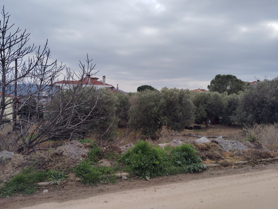 Terreno en Sitonia, Grecia, 1 305 m² - imagen 7