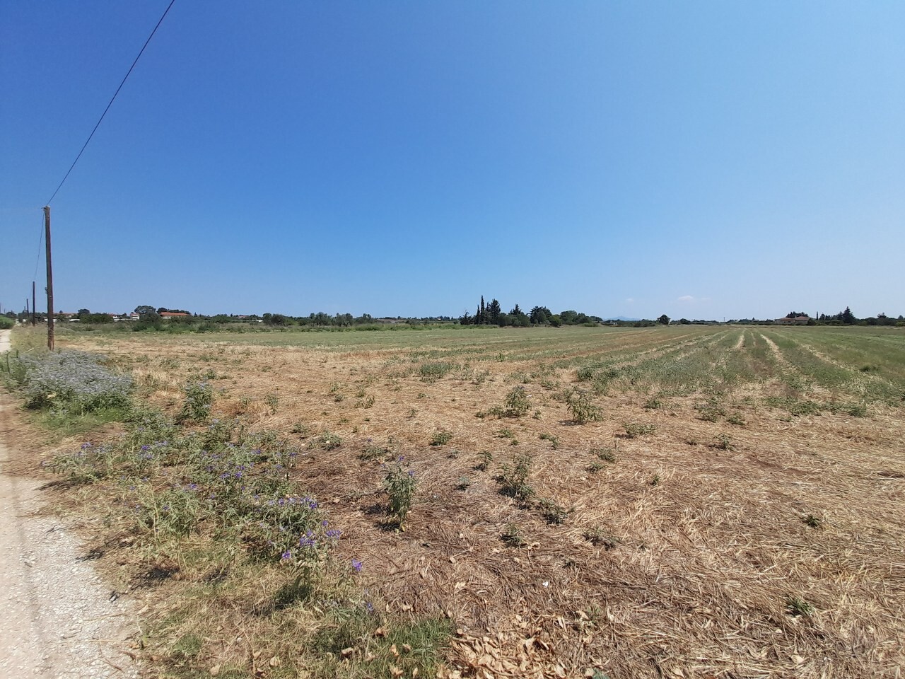 Land in Thessaloniki, Greece, 11 100 m² - picture 7