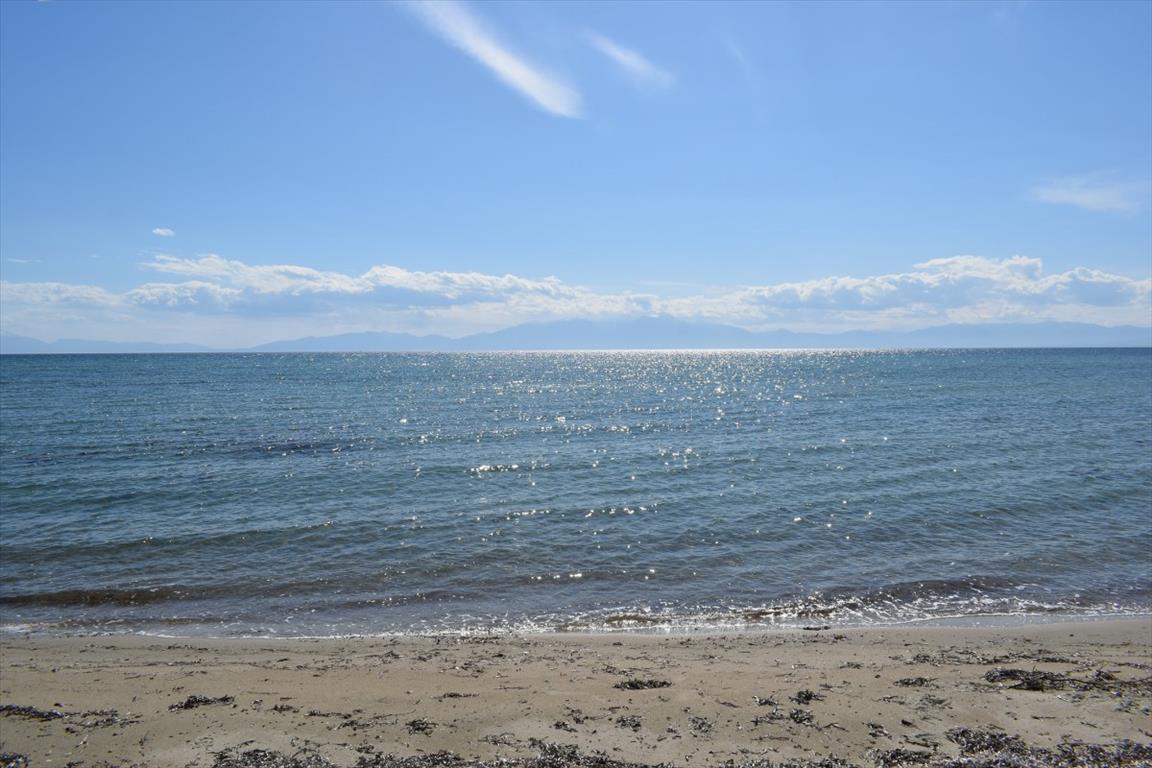 Land in Thessaloniki, Greece, 27 000 m² - picture 7