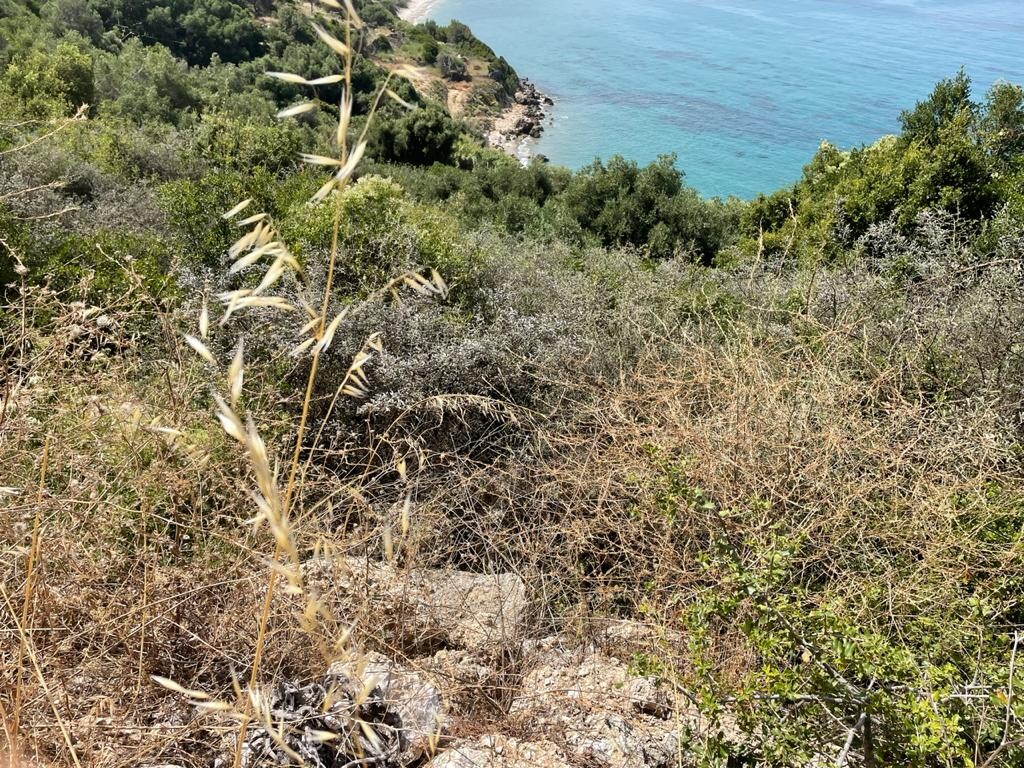 Terrain à Corfou, Grèce, 4 800 m² - image 7