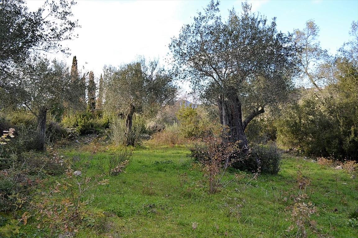 Terreno a Corfù, Grecia, 20 000 m2 - foto 7