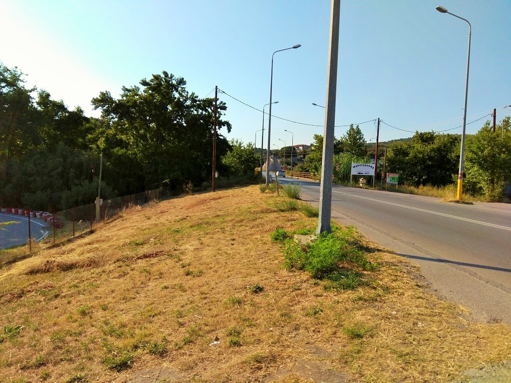 Terreno en Sitonia, Grecia, 7 000 m² - imagen 7