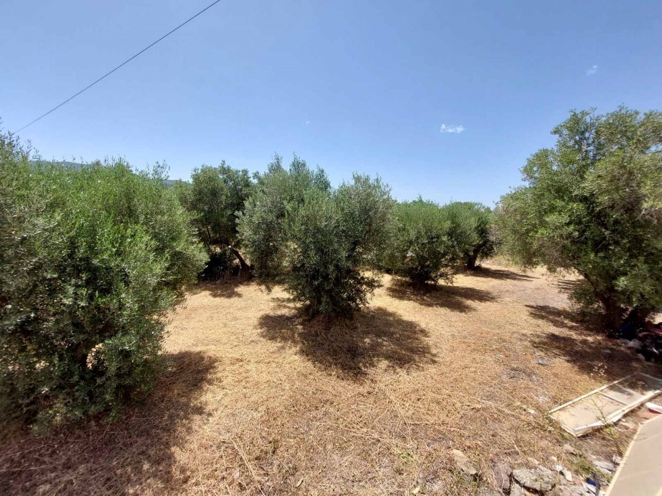 Grundstück in Sithonia, Griechenland, 3 500 m² - Foto 7