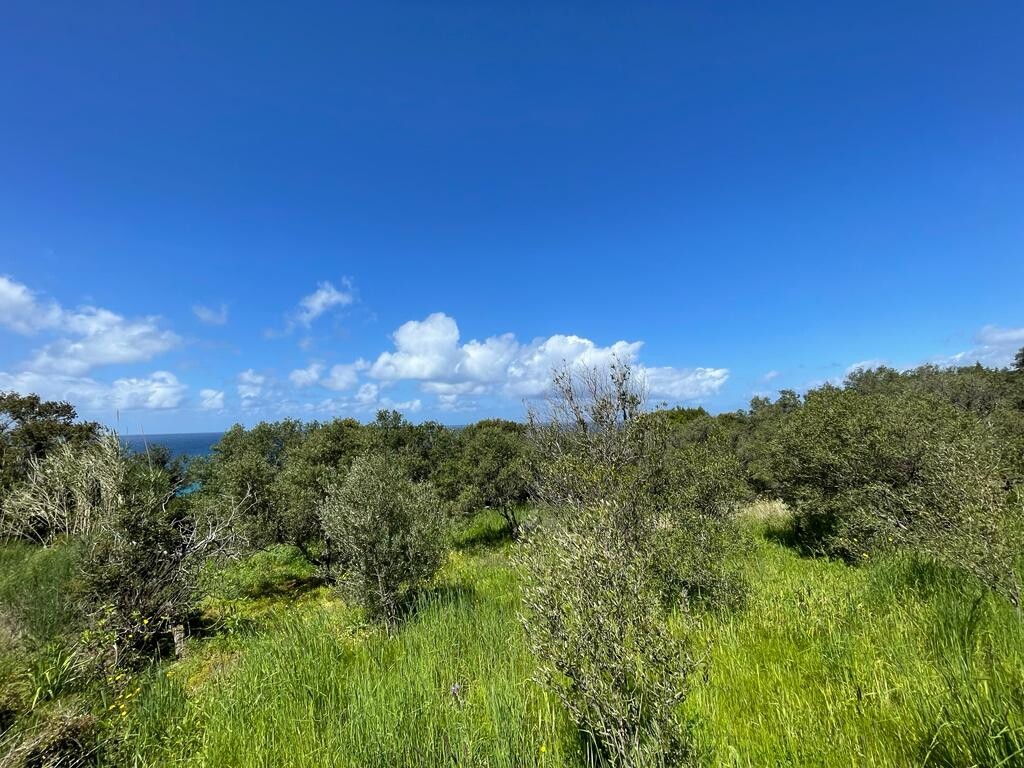 Terreno a Corfù, Grecia, 9 150 m2 - foto 7