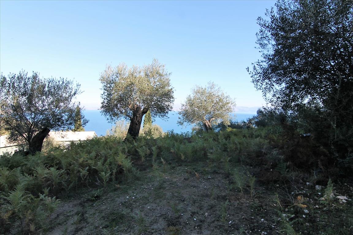 Land in Corfu, Greece, 9 000 m² - picture 7
