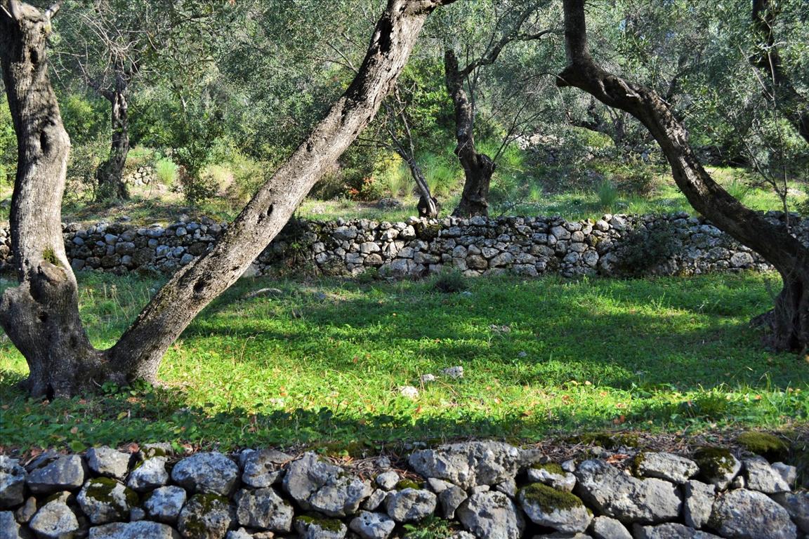 Terreno a Corfù, Grecia, 7 606 m2 - foto 7